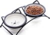 Is Ceramic or Stainless Steel Better for Cats? A Complete Guide to Choosing the Perfect Bowl Ceramic