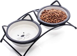 Is Ceramic or Stainless Steel Better for Cats? A Complete Guide to Choosing the Perfect Bowl Ceramic
