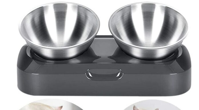The Ultimate Guide to Choosing the Perfect Stainless Steel Cat Food Bowl: Everything You Need to Know Stainless Steel Cat Bowls