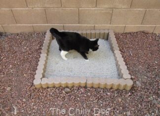 Why Is My Cat Using Bathroom Outside Litter Box? 7 Solutions That Actually Work! What to Do When Your Cat is Pooping or Peeing Outside the Litter Boxwww.embracepetinsurance.com › article