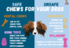 Safe Bones for Small Dogs: A Complete Guide to Keeping Your Tiny Pup Happy and Healthy The Best Safe Bones for Dogs