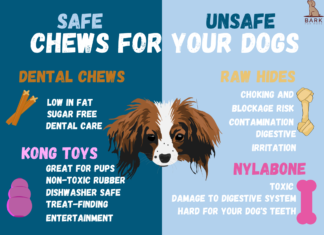 Safe Bones for Small Dogs: A Complete Guide to Keeping Your Tiny Pup Happy and Healthy The Best Safe Bones for Dogs