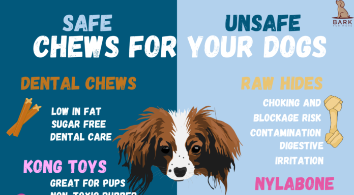 Safe Bones for Small Dogs: A Complete Guide to Keeping Your Tiny Pup Happy and Healthy The Best Safe Bones for Dogs