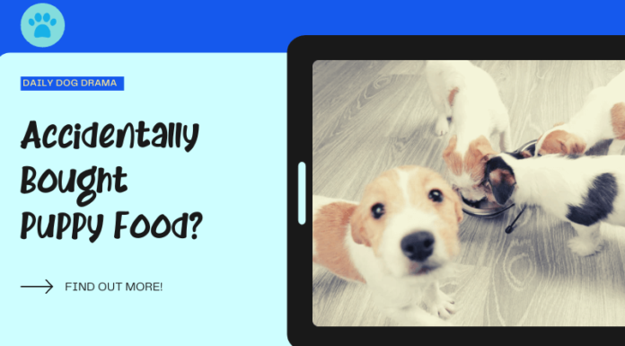 Help! I Accidentally Bought Puppy Food – Is It Safe for Adult Dogs? Accidentally Purchased Puppy Food : r/dogs