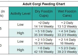 The Ultimate Corgi Feeding Chart: A Complete Guide to Nourishing Your Fluffy Friend Diet & Nutrition Guide: Corgis