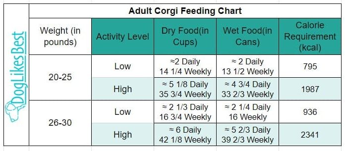 The Ultimate Corgi Feeding Chart: A Complete Guide to Nourishing Your Fluffy Friend Diet & Nutrition Guide: Corgis