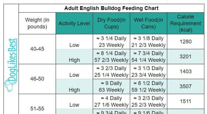 Complete English Bulldog Feeding Chart: Your Ultimate Guide to Proper Nutrition How Much To Feed Your Bulldog Puppy