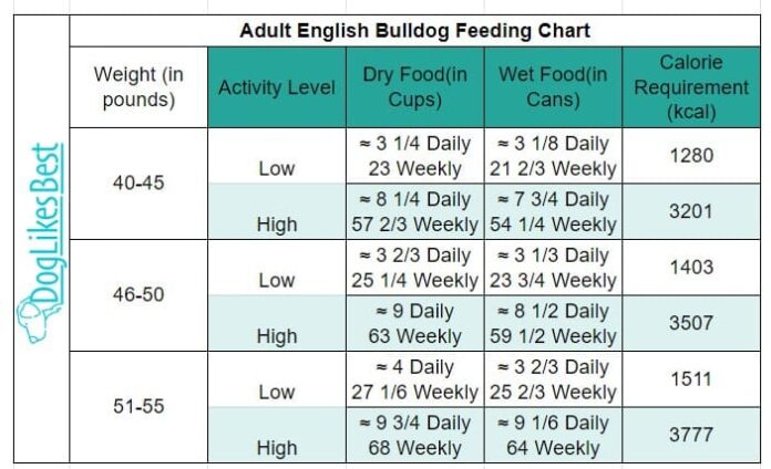 How Much To Feed Your Bulldog Puppy