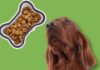 The Ultimate Guide: Best Food for Irish Setter – Keep Your Red Beauty Healthy and Happy Food options for Setters? : r/irishsetter