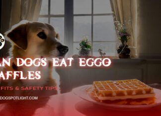 Can Dogs Eat Eggo Waffles? A Complete Guide to Sharing Your Breakfast To the dog