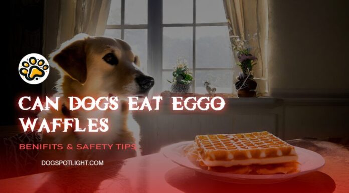 Can Dogs Eat Eggo Waffles? A Complete Guide to Sharing Your Breakfast To the dog