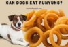 Can Dogs Have Funyuns? The Truth About This Popular Snack and Your Furry Friend I have a 20lb dog. It ate a piece of a funyuns chip. Jazmin 5