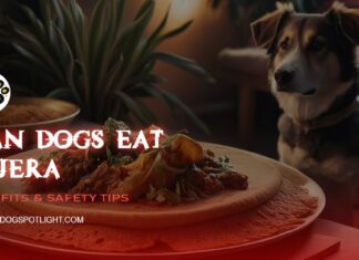 Can Dogs Eat Injera? A Complete Guide to Feeding Ethiopian Bread to Your Pup Can Dogs Eat Injera? Vet