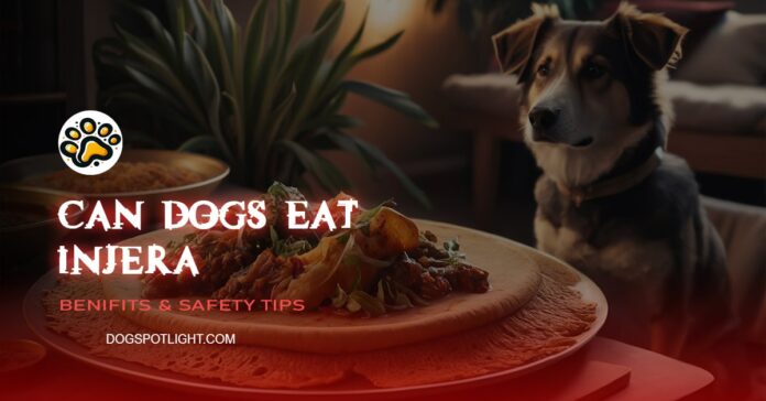 Can Dogs Eat Injera? Vet