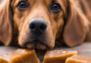 Can Dogs Eat Jaggery? A Complete Guide to This Natural Sweetener My dog ate jaggery which is traditional sugar I need to know if it's dangerous they ate quarter of a cup. One is 26 lb