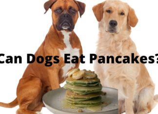 Can Dogs Eat Buckwheat Pancakes? A Tail-Wagging Guide to Safe Treats Banana buckwheat pancakes for dogs