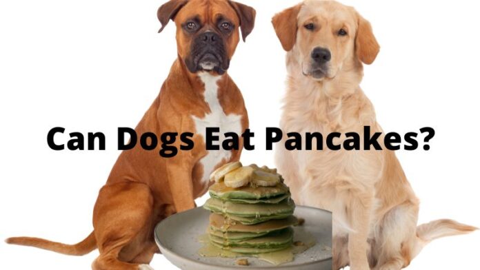 Banana buckwheat pancakes for dogs