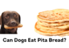 Can Dogs Eat Pita Bread? A Complete Guide to Sharing This Mediterranean Staple My 40 lb dog ate 3 1/3 pita breads but very little of the plastic bag. This was about 3 hours ago. His stomach/chest