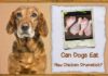 Help! My Dog Ate Raw Chicken Drumsticks – What Should I Do? Can Dogs Eat Raw Chicken Drumsticks? Expert Answers & Advice