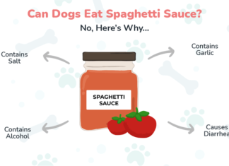 Is Tomato Sauce Bad for Dogs? Here’s What Pet Parents Need to Know My dog ate some ground beef with a little tomatoe sauce. What should I do? I left my plate and he got to it. I'm not