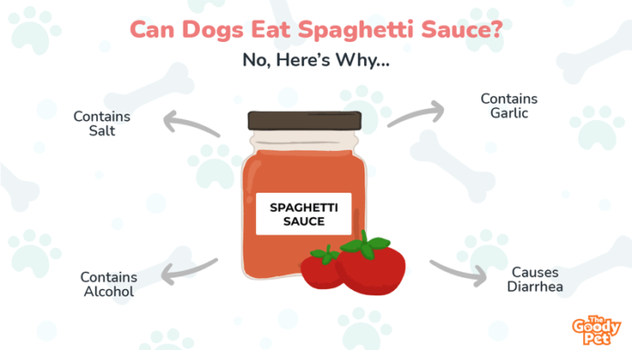Is Tomato Sauce Bad for Dogs? Here’s What Pet Parents Need to Know My dog ate some ground beef with a little tomatoe sauce. What should I do? I left my plate and he got to it. I'm not