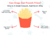 Can Dogs Have French Fries? The Truth About This Popular Fast Food Treat What happens if my dog ate French fries?