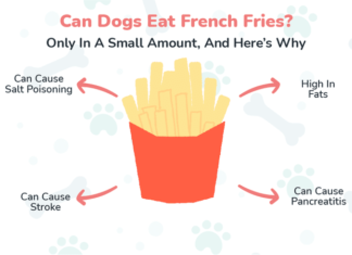 Can Dogs Have French Fries? The Truth About This Popular Fast Food Treat What happens if my dog ate French fries?