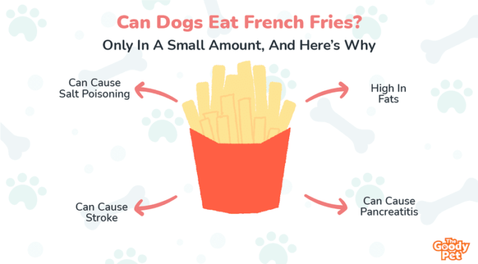 Can Dogs Have French Fries? The Truth About This Popular Fast Food Treat What happens if my dog ate French fries?