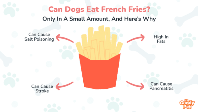 What happens if my dog ate French fries?