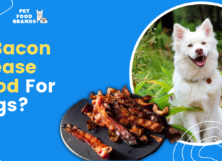 Is Bacon Grease Good for Dogs? The Truth About This Fatty Treat Bacon Grease drizzled on dog food? : r/Goldendoodles