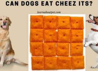 Are Cheez-Its OK for Dogs? A Complete Guide to Sharing These Snacks with Your Pup What will happen to my dog if they had ate a bowl of Cheez