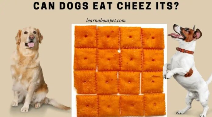 Are Cheez-Its OK for Dogs? A Complete Guide to Sharing These Snacks with Your Pup What will happen to my dog if they had ate a bowl of Cheez