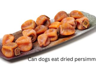Can Dogs Eat Dried Persimmons? A Complete Guide to This Sweet Treat Can Dogs Eat Persimmons? What You Need To Know