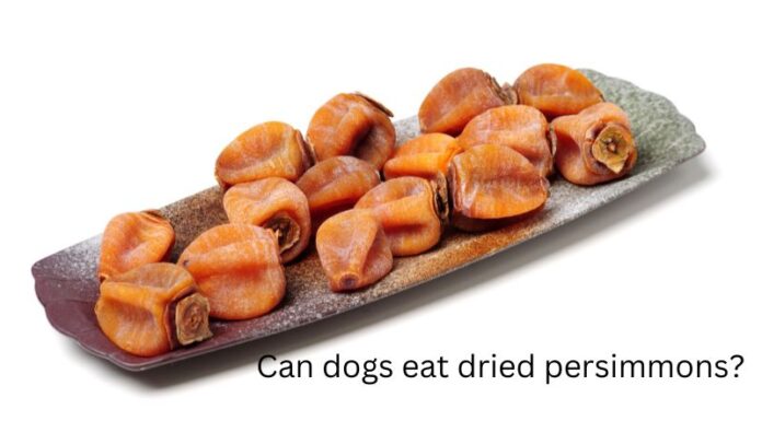 Can Dogs Eat Dried Persimmons? A Complete Guide to This Sweet Treat Can Dogs Eat Persimmons? What You Need To Know