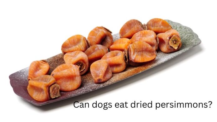 Can Dogs Eat Persimmons? What You Need To Know