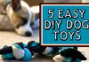 The Ultimate Guide to Safe Dog Toy Materials: What Every Pet Parent Should Know Chews Wisely: A Guide to Safe Dog Chews and Non-Toxic Toys
