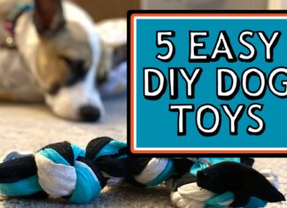The Ultimate Guide to Safe Dog Toy Materials: What Every Pet Parent Should Know Chews Wisely: A Guide to Safe Dog Chews and Non-Toxic Toys