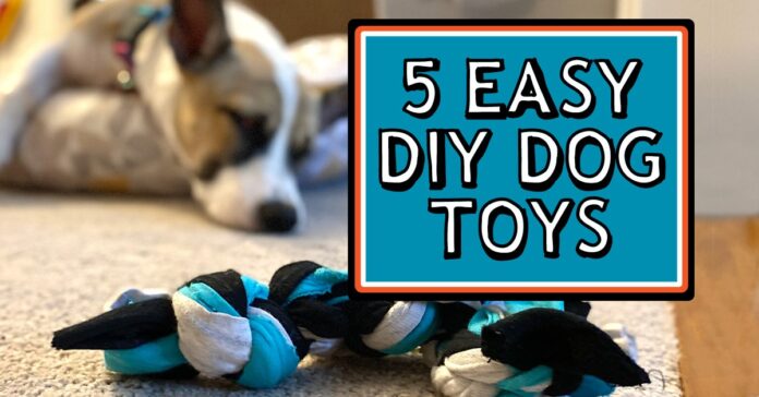 Chews Wisely: A Guide to Safe Dog Chews and Non-Toxic Toys