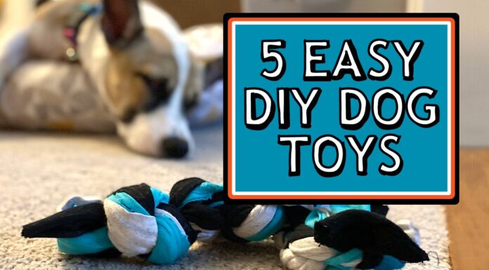 The Ultimate Guide to Safe Dog Toy Materials: What Every Pet Parent Should Know Chews Wisely: A Guide to Safe Dog Chews and Non-Toxic Toys
