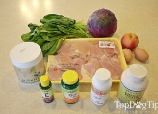 Does Homemade Dog Food Need Supplements? Essential Guide for Pet Parents How to Make Homemade Dog Food That's Nutritionally Complete