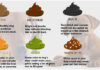 A Complete Guide to Dark Brown Diarrhea in Dogs: Causes, Treatment, and When to Worry All About Dog Poop: Dog Diarrhoea