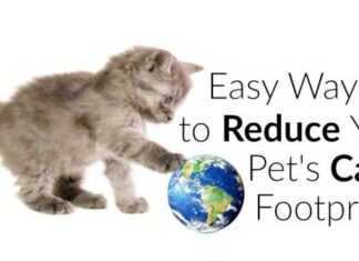 The Hidden Truth About Pet Carbon Footprint: How Our Furry Friends Impact the Environment The Average Carbon Footprint of a Pet