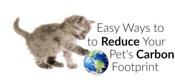 The Hidden Truth About Pet Carbon Footprint: How Our Furry Friends Impact the Environment The Average Carbon Footprint of a Pet