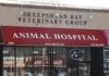 Finding the Best Sheepshead Bay Vet: Your Complete Guide to Pet Care in Brooklyn Sheepshead Bay Veterinary Groupsbvet.net