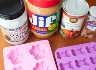 Irresistible Frozen Dog Treats with Pumpkin and Peanut Butter: A Tail-Wagging Summer Delight Pumpkin Peanut Butter Frozen Dog Treats