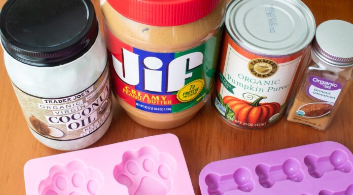 Irresistible Frozen Dog Treats with Pumpkin and Peanut Butter: A Tail-Wagging Summer Delight Pumpkin Peanut Butter Frozen Dog Treats