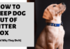 10 Effective Ways to Keep Dog Out of Litter Box: A Complete Guide My dog won't leave the cat's litter box alone. What can I do to keep him from doing this?www.reddit.com › comments › my_dog_...