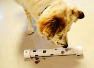 15 Amazing Homemade Puppy Toys You Can Make Today: Budget-Friendly DIY Guide 18 DIY dog toys you can make from items in your house