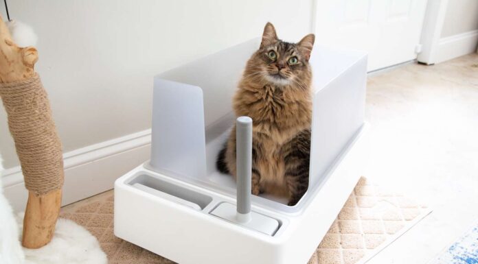 Tuft and Paw Cove Litter Box: A Modern Solution for the Contemporary Cat Parent Cove Modern Litter Box
