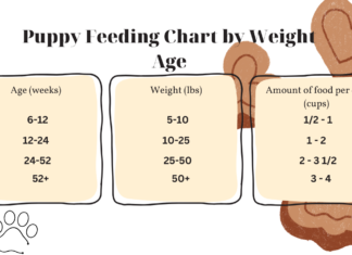 Complete Puppy Feeding Chart by Weight & Age: Your Ultimate Guide to Healthy Pup Nutrition How Much To Feed A Puppy: Chart By Weight & Age